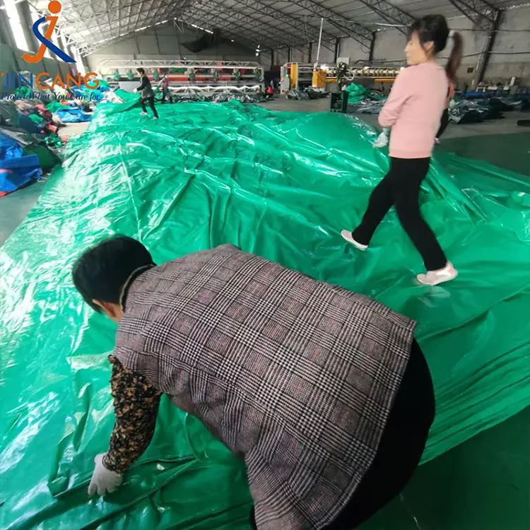 1G0G हरियो PATAPUININ