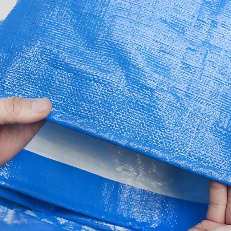 1600g निलो सेतो Phapulin