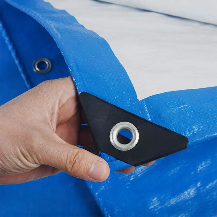 1600g निलो सेतो Phapulin