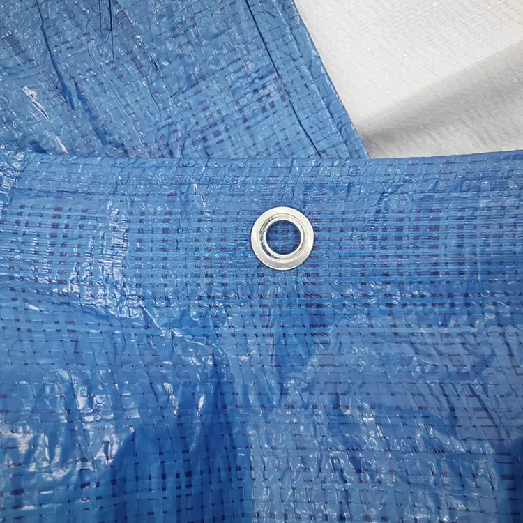 G0 ग्राम नीलो Phapulin