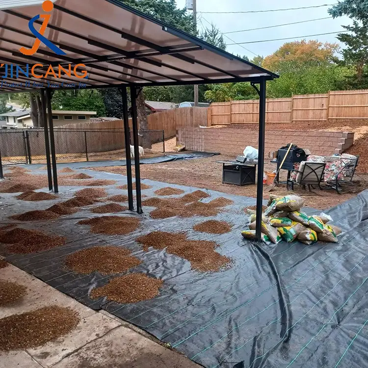 पीपी बुवा लगाइएको छ