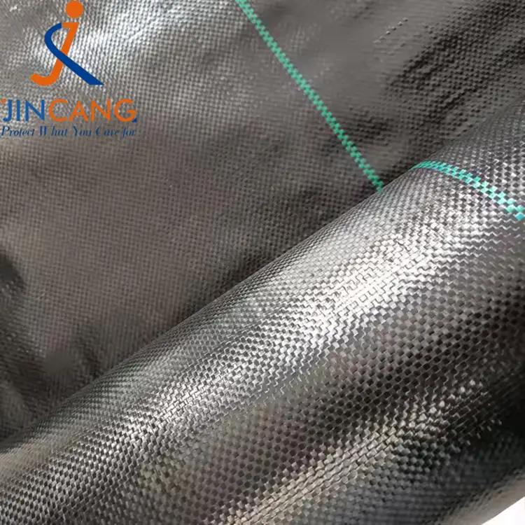 पीपी बुवा लगाइएको छ