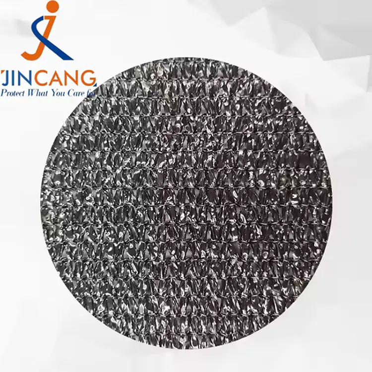 सूर्य छायाँ दाग