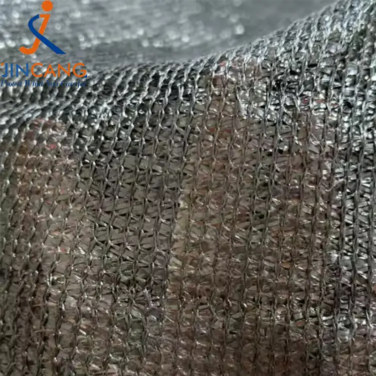 सूर्य छायाँ दाग