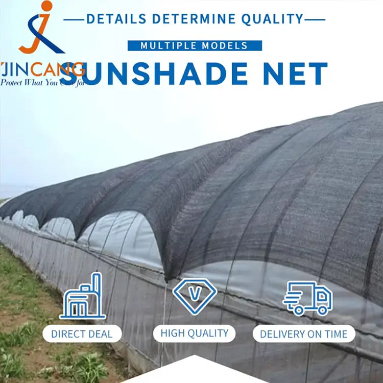 सूर्य छायाँ दाग