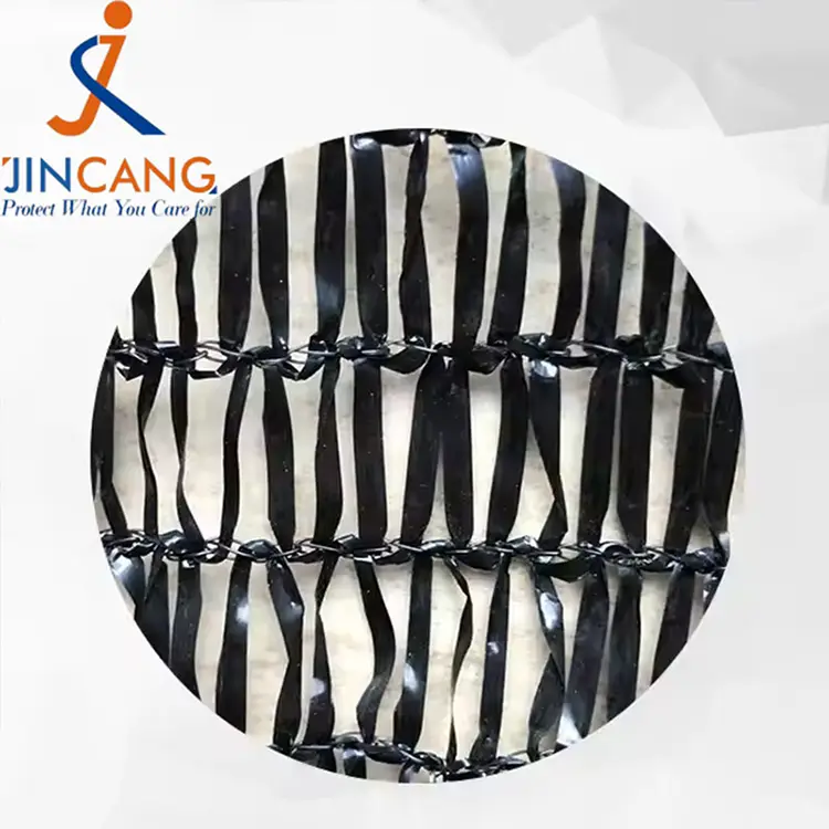 सूर्य छायाँ दाग