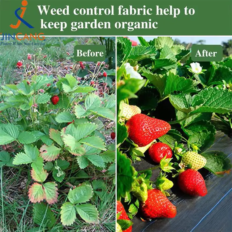 झारपात नियन्त्रण कपडा म्याट