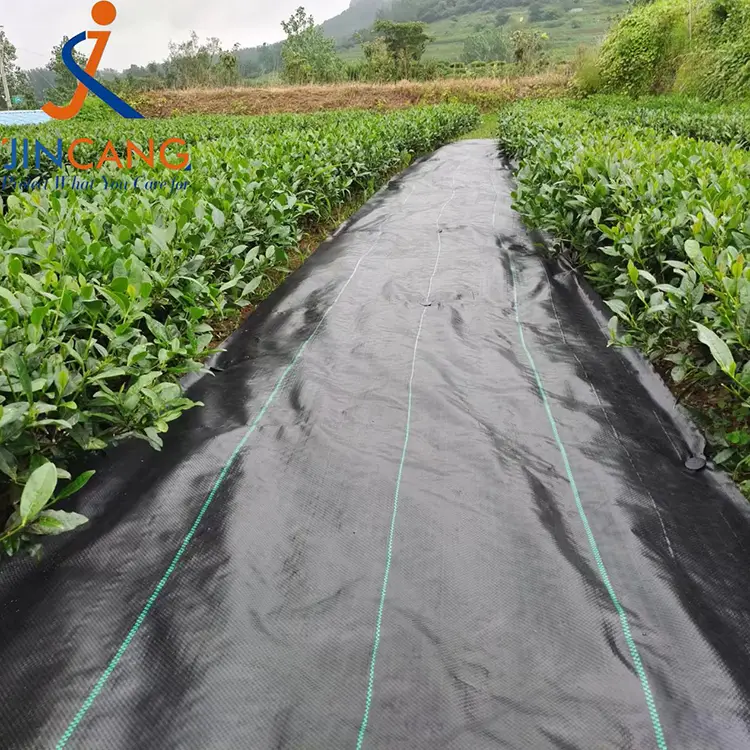 झारपात नियन्त्रण कपडा म्याट